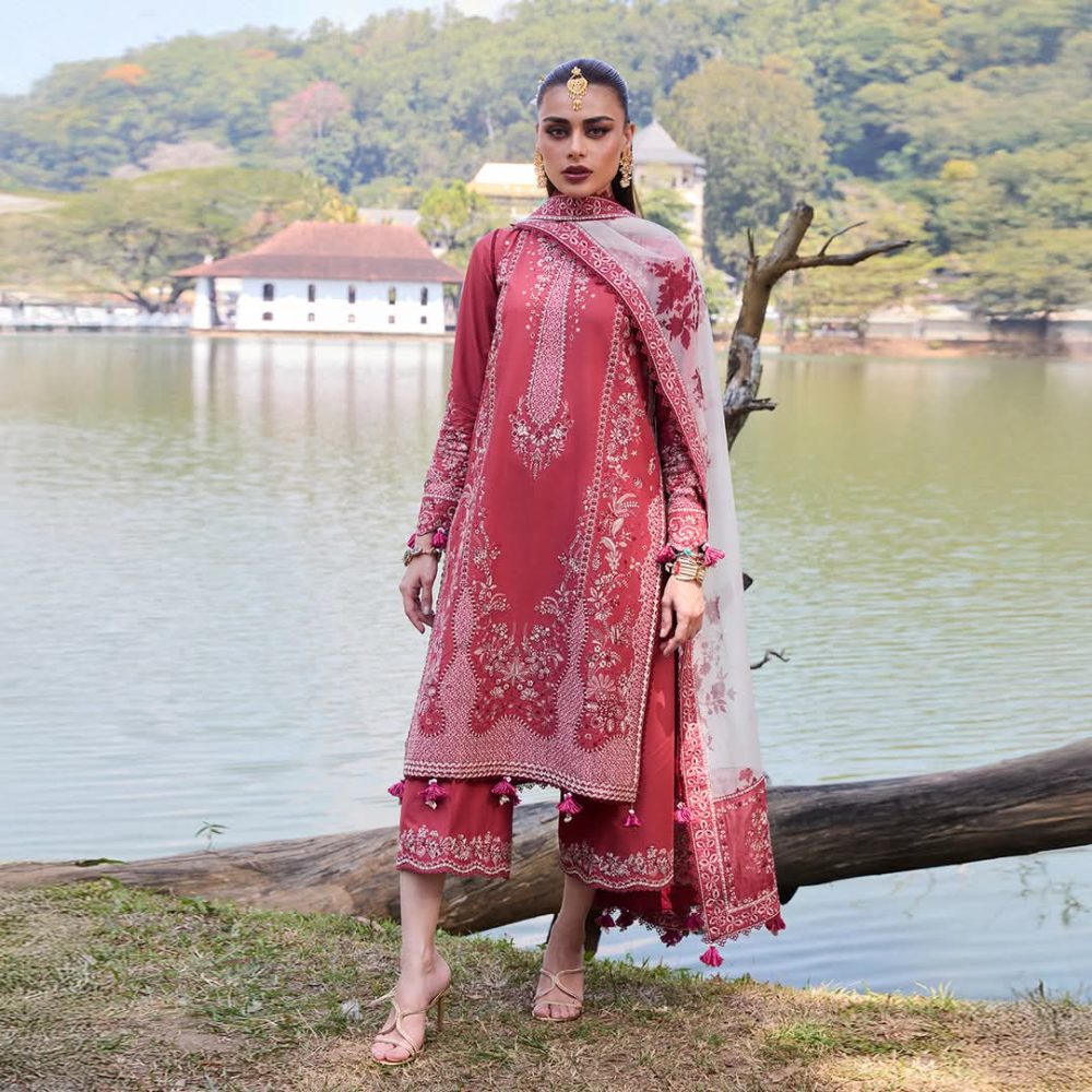 fb img 1741977764519